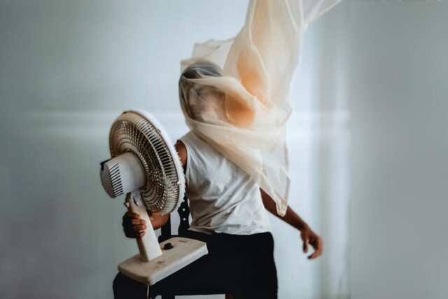 pulire il ventilatore pulire il ventilatore